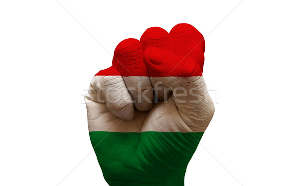 Bandiera pugno uomo mano verniciato paese Foto d'archivio © tony4urban