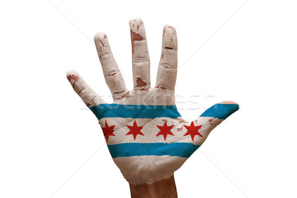 palm flag chicago Stock photo © tony4urban