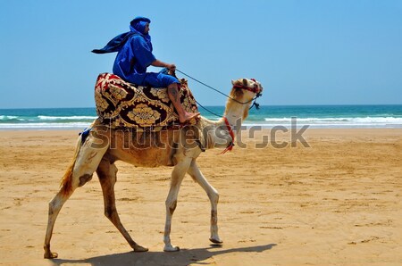 berber on camel Stock photo © tony4urban