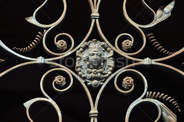 gate ornament Stock photo © tony4urban