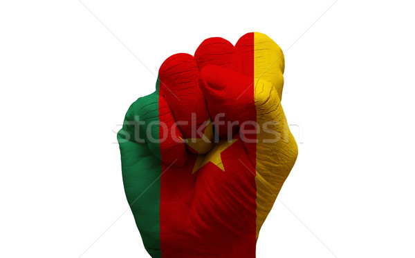Banderą pięść człowiek strony malowany kraju Zdjęcia stock © tony4urban