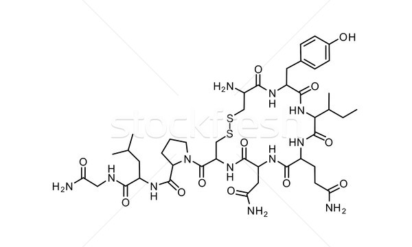 love chemical formula  Stock photo © tony4urban