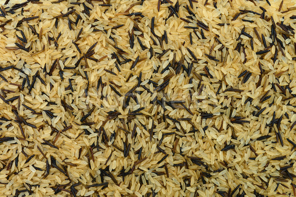 mixed rice texture Stock photo © tony4urban
