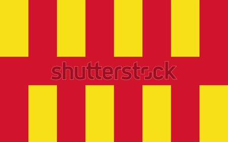 Northumberland flag Stock photo © tony4urban