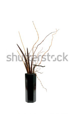 ikebana Stock photo © tony4urban