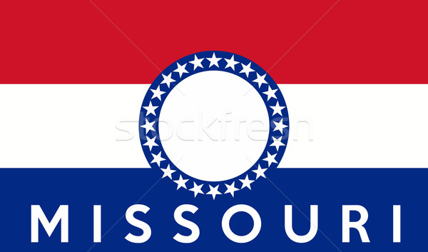 Missouri vlag groot illustratie USA banner Stockfoto © tony4urban