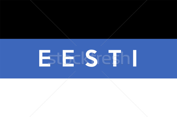 Bandera Estonia grande tamaño ilustración país Foto stock © tony4urban