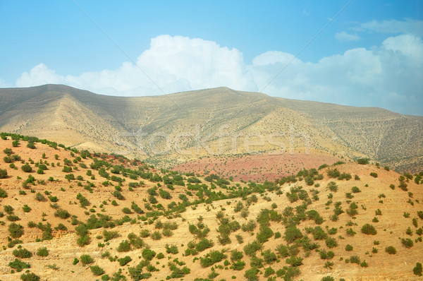 Atlas montanhas Marrocos ao ar livre geral ver Foto stock © tony4urban