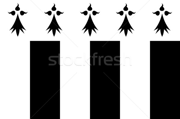 Stock photo: rennes flag