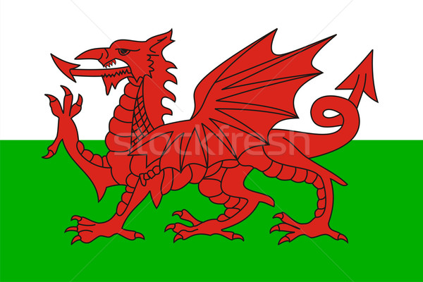 Gales bandera grande tamaño país ilustración Foto stock © tony4urban