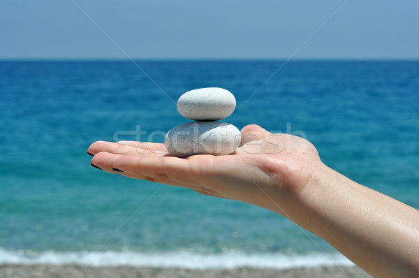 Zen камней стороны белый женщину Palm Сток-фото © tony4urban