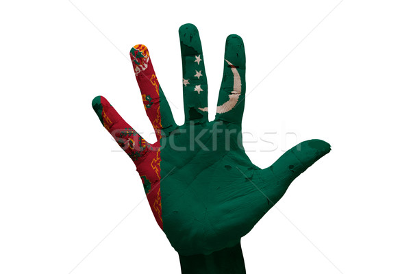 Palmen Flagge Turkmenistan Mann Hand Faust Stock foto © tony4urban