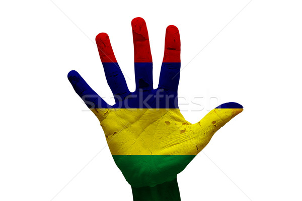 Palm bandiera Mauritius uomo mano verniciato Foto d'archivio © tony4urban