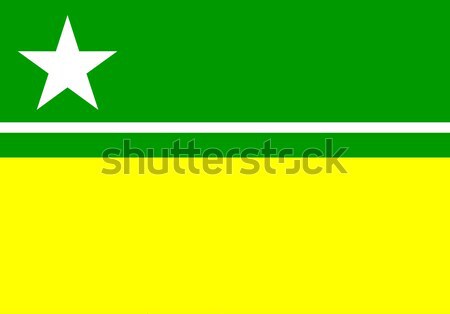 Boa Vista flag Stock photo © tony4urban