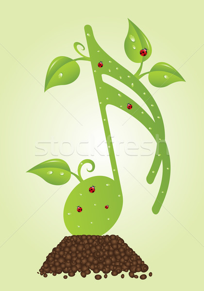 Természetes jegyzet zöld kotta katicabogarak levelek Stock fotó © toponium