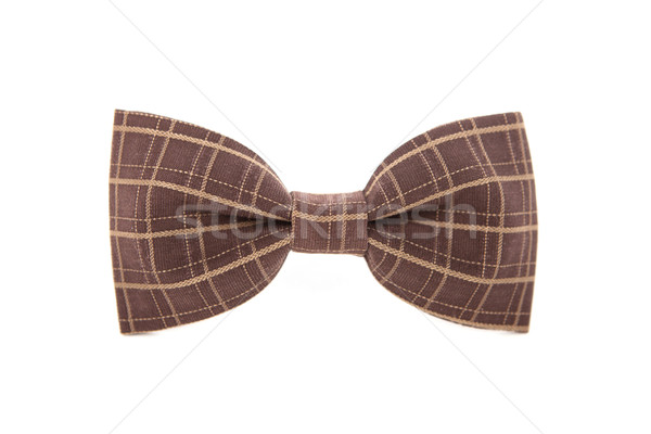 Brown striped men's bow tie isolated on white background. Stock photo © traza