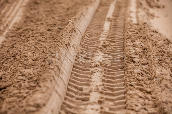 car tracks in the sand Stock photo © traza