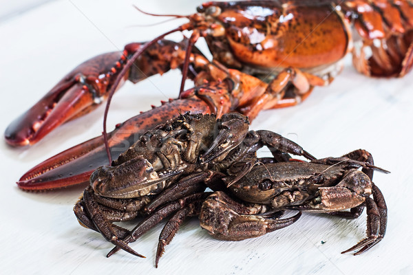 Crustacean Stock photo © trexec