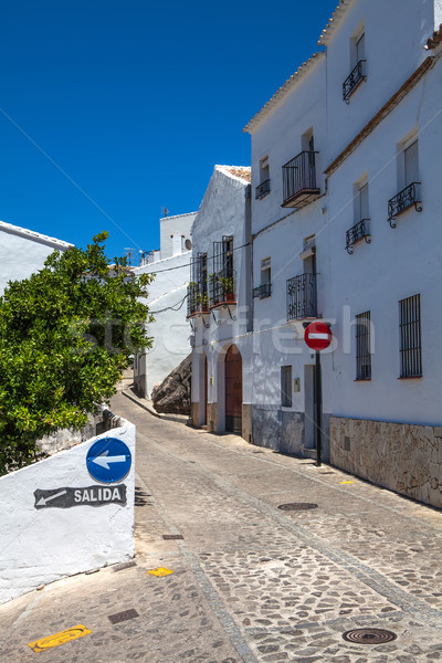 Village street under blue sky Stock photo © trexec