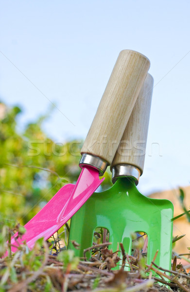 Foto stock: Pá · jardim · não · descrição · primavera · madeira