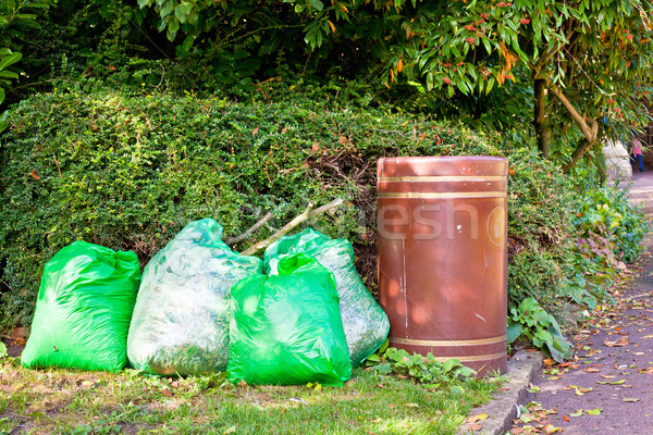 Rubbish bags Stock photo © trgowanlock