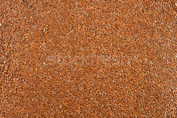 linseed Stock photo © trgowanlock