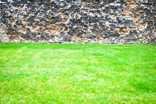 Grass and stone wall Stock photo © trgowanlock