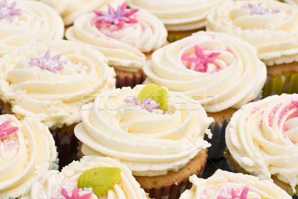 Cupcakes Stock photo © trgowanlock