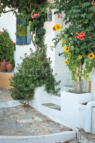 Grieks huis traditioneel bloemen home planten Stockfoto © trgowanlock