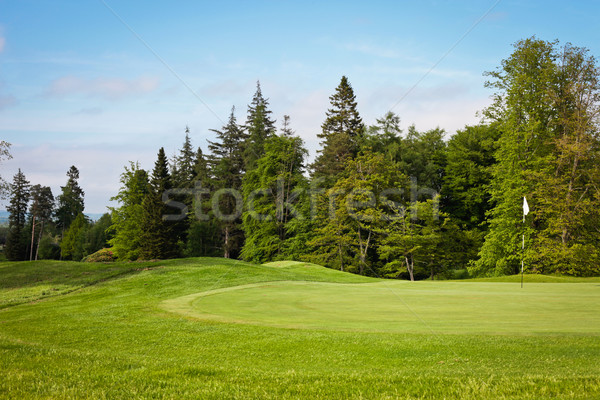 Golfbaan gras golf zon sport zonsondergang Stockfoto © trgowanlock