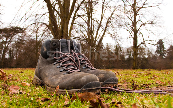 hiking shoes Stock photo © trgowanlock