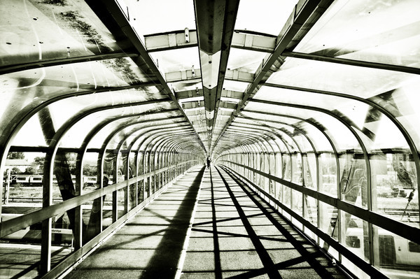 Bridge in monochrome Stock photo © trgowanlock
