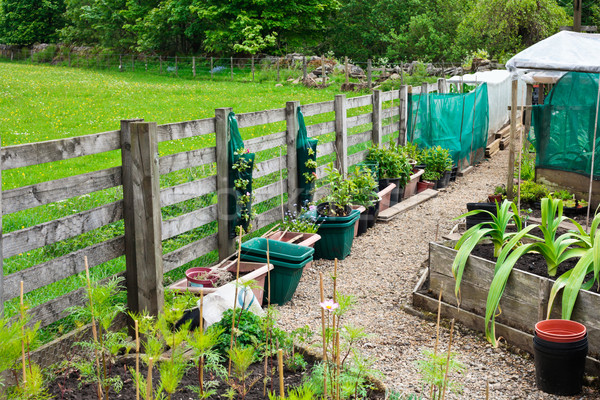 Foto stock: Vegetales · jardín · rural · Inglaterra · verano · primavera