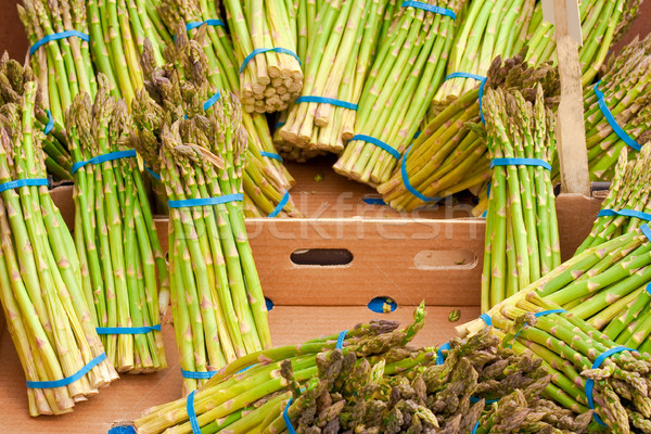 asparagus Stock photo © trgowanlock