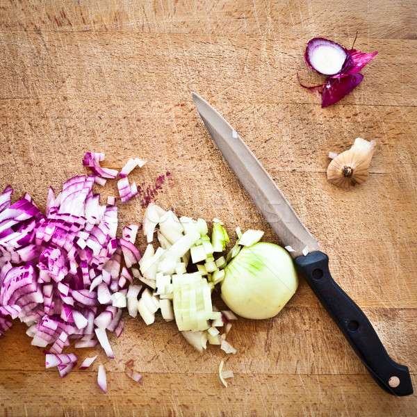 Onions Stock photo © trgowanlock
