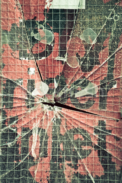 Smashed glass Stock photo © trgowanlock