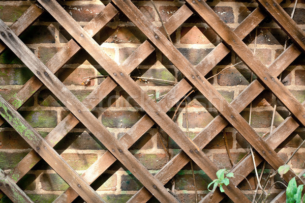ストックフォト: 庭園 · 木製 · レンガの壁 · 壁 · 自然 · ホーム