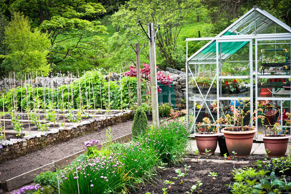 Zöldség kert virágzó üvegház vidéki Anglia Stock fotó © trgowanlock