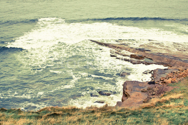 Storm at the coast Stock photo © trgowanlock
