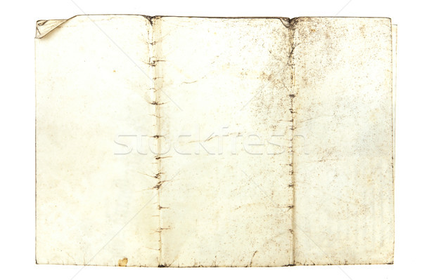 Grungy paper Stock photo © trgowanlock