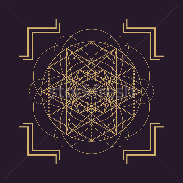 Wektora mandala geometria ilustracja złota Zdjęcia stock © TRIKONA