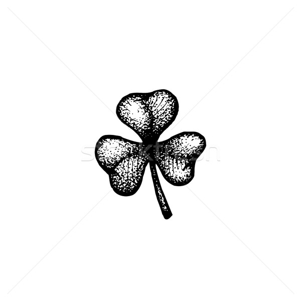 Foto stock: Vetor · shamrock · ilustração · preto · trabalhar