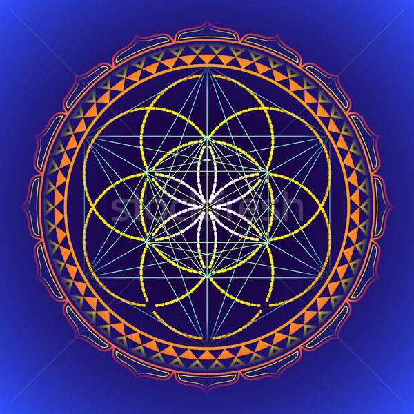 Foto stock: Cor · mandala · geometria · ilustração · vetor