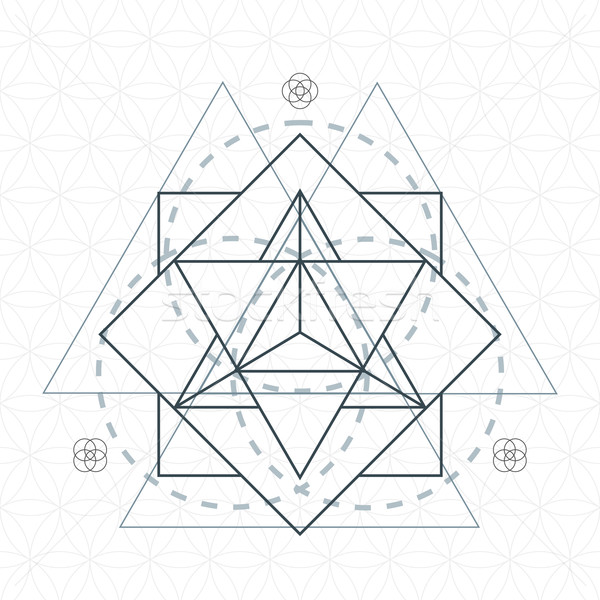 Schita floare viaţă geometrie vector Imagine de stoc © TRIKONA