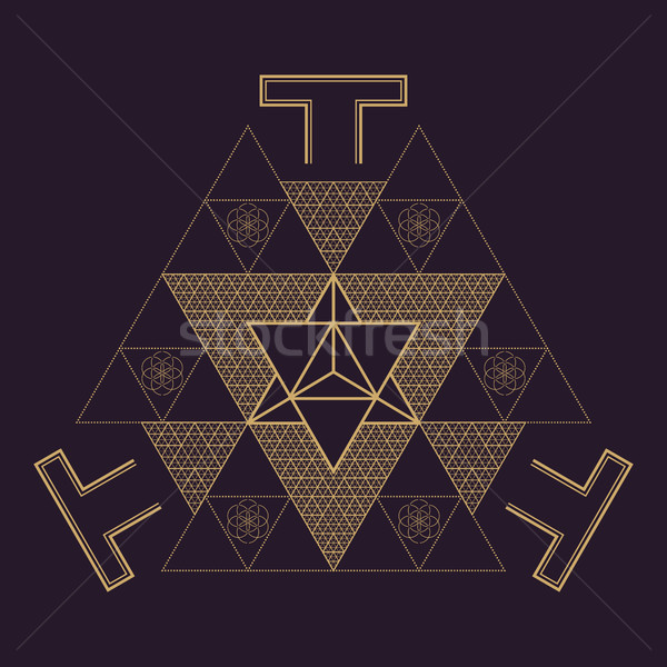 vector mandala sacred geometry illustration Stock photo © TRIKONA