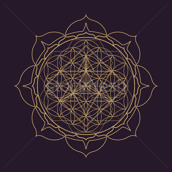 Vector mandala geometrie ilustrare aur Imagine de stoc © TRIKONA