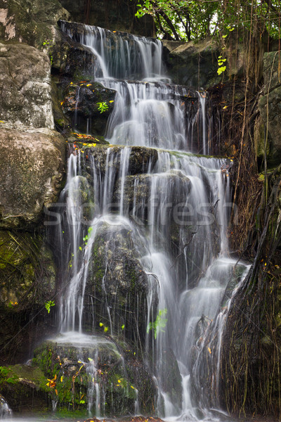 çağlayan Tayland su orman manzara kaya Stok fotoğraf © tungphoto