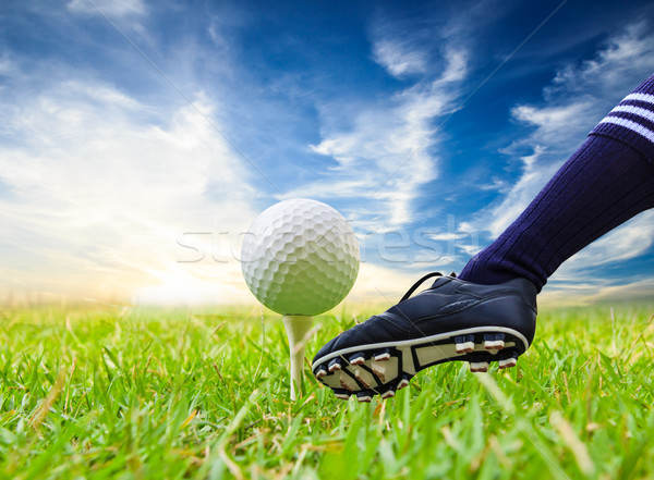 foot kicking golf ball on tee Stock photo © tungphoto