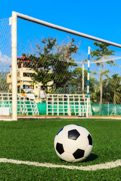 soccer ball on green grass in front of goal net Stock photo © tungphoto