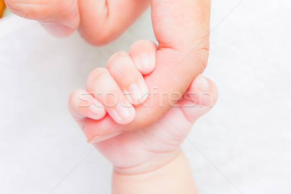 baby hand holding adult finger Stock photo © tungphoto